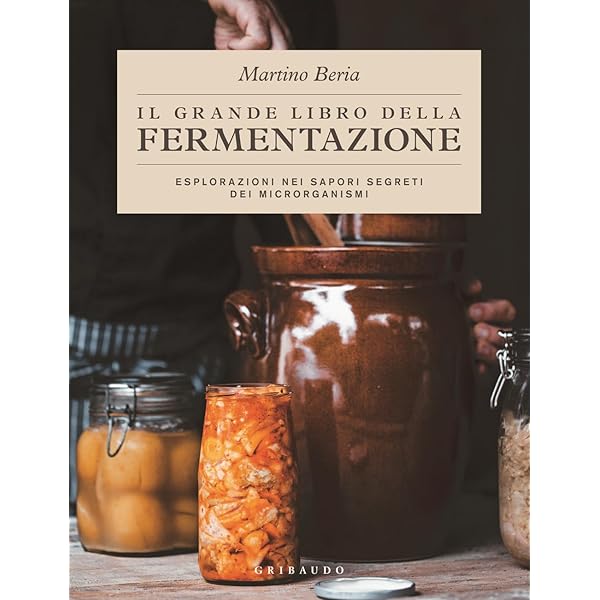 Amazon.it: Noma. La guida alla fermentazione. Tutto comincia