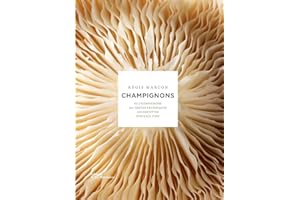 Champignons