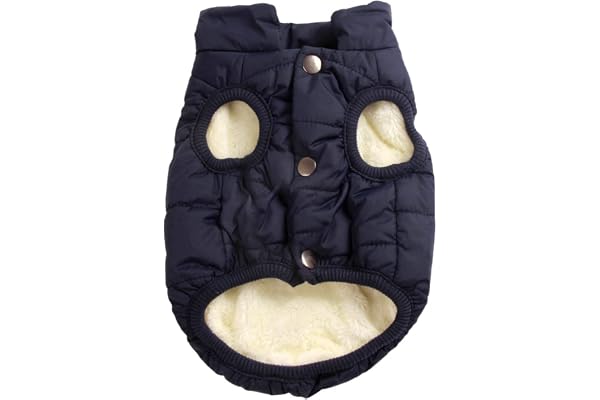 Joydaog Manteau coupe-vent pour chien 2 couches avec doublure polaire extra-chaude et douce