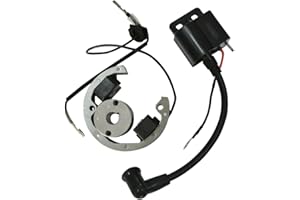 JL JIANGLI LEGEND New Stator Rotor Flywheel Ignition Coil Fit KTM 50 SX Senior Mini Adventure