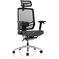 Dynamic Office Solutions Ergo Click Mesh with Headrest