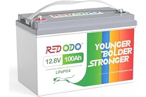 Redodo Batterie LiFePO4 12V 100Ah,Batterie Lithium Rechargeable,BMS 100A Intégré,4000-15000 Cycles Profond, pour Caravanes, Bateaux, Camping-Cars, Maison Solaire, Hors-Réseau