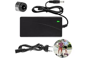 XPJBKC Chargeur Trotinette Electriqu, 42V 2A AC Chargeurs de Scooter, Universel Chargeur Trottinette électrique, Chargeur de Batterie pour Batterie Scooter électrique (DC 5.5x2.1mm)