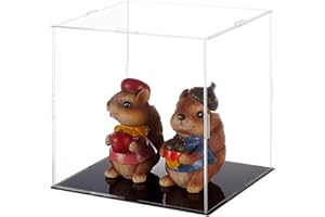 FINGERINSPIRE Vitrines de Figurines en Plastique 21x21x20.5 cm Boîte de Présentation de Figurines d'action Anti-Poussière Transparente avec Vitrine de Base Noire pour Modèles, Blocs de Construction