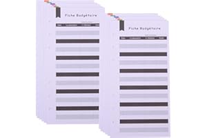 Operitacx 24 Feuilles De Cartes Budgétaires Pour Enregistrement Du Budget Mensuel Classeur À Feuilles Perforées Pour Maison Bureau Et Entreprise