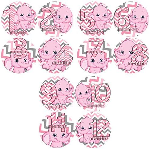 Pink Girl Chevron Elephants Baby Monthly Stickers Baby Monthly Milestone Stickers Baby Bodysuit Stickers Onesie Stickers Baby Shower Gifts