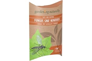 GARDENING NATURALLY Fungus Gnat Nematodes for Houseplants and Indoor Plants – Natural Soil Drench Treatment for Fungus Gnat Larvae in Compost – Treats up to 12 sq.m