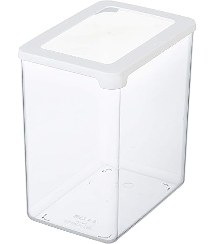 Rotho Fun Lunchbox met Verdeelschotje 0.9L Transparant