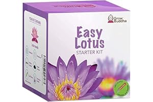GROW BUDDHA Grow Your Own Gardening Kit – Easily Grow Your own Plants with Our Complete Beginner Friendly Seeds Starter Kit – Unique Gift Idea (Lotus Kit)