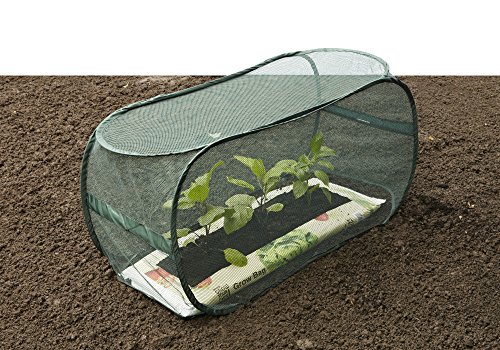 Leisure Traders The Pop-Up Garden Rectangular Net Cloche - Grow Bag Protection (H 0.55 x L 1.10 x W 0.45m)