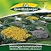 Produktbild Steingartenstauden Niedrige Mischung | Winterhart - Mitte März – Oktober im 2. Jahr-