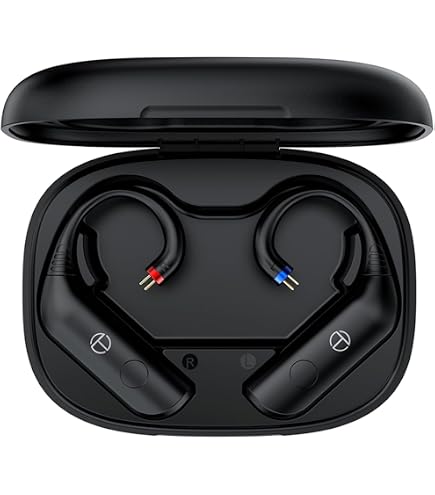 FiiO UTWS5 Bluetooth Amplifier Earbuds Hook 96kHz/24bit Hi-Res