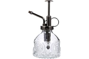 HEMOTON Arrosoir En Verre Relief Avec Buse Précise Poignée Confortable Pour Plantes D'Intérieur Et Bonsaïs Décoration Élégante