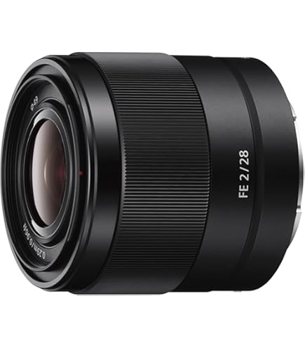 Sony F4 G Oss SEL24105G.SYX Obiektyw, Czarny, 24–105 mm