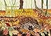 Igel Mums Reise nach Bethlehem by Brigitte Meertens