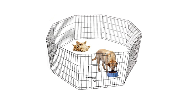 amazon rabbit playpen