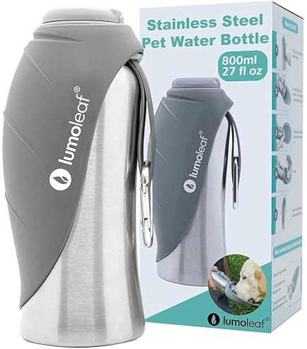 Stainless Steel Dog Travel Water Bottle, Vacuum Insulated