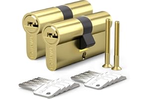 Bwintech 2 piezas alike 30/30 mm núcleo de latón europeo con llave, 60 mm cerradura núcleo de latón con 10 teclas de latón horizontales, anti recogida, anti colisión, acabado de latón pulido