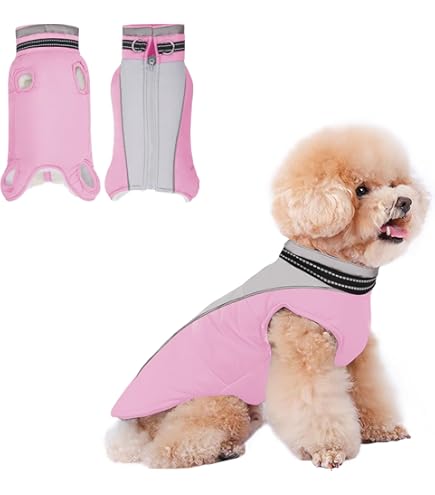 Felpa Con Cappuccio Per Cani Piccoli - Maglione Invernale Con Scritta 'Amo Mia Mamma', Cotone E Pile - Foto 2