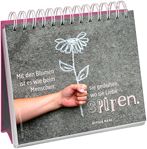 Ein kleines bisschen Liebe für jeden Tag - 5