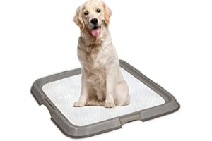 PAWISE Bandeja de Inodoro para Perro, Soporte para Almohadilla para orina de Mascotas, Bandeja para Orinal para Perros, Bandeja portátil para Entrenamiento de Cachorros,60 x 60 cm