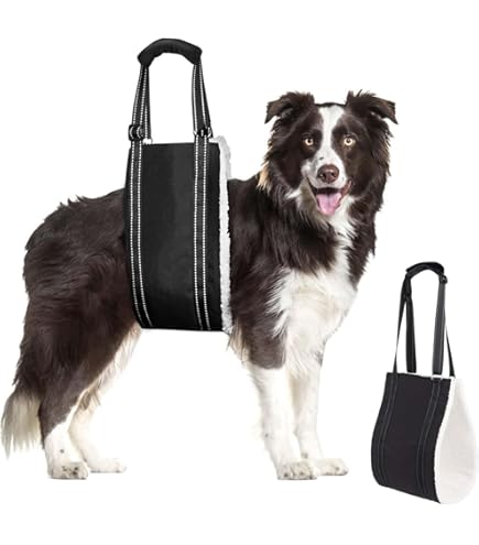 Veddelholzer Koelmat (XL) voor honden, extra dik en zelfkoelend zonder stroom, perfect voor zomer en reizen, voor kleine, middelgrote en grote honden, opvouwbaar en gemakkelijk te