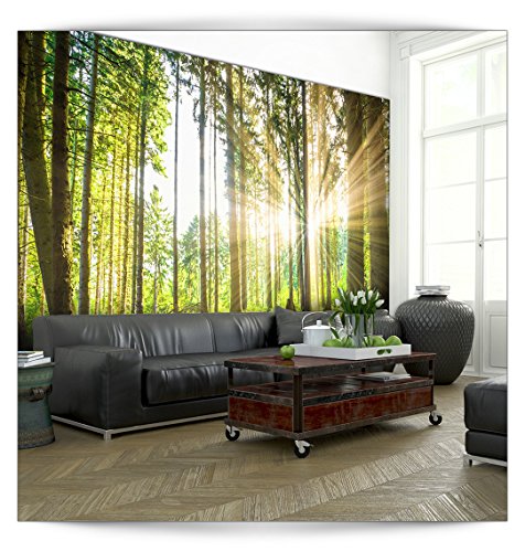 FOTOTAPETE Wald grün - KOMPLETT SET MIT KLEISTER - XXL 400x280 CM PREMIUM VLIES TAPETE - PROFI QUALITÄT (Keine Papiertapete, keine Blasenbildung) - Top moderne Wanddeko - Fototapete 3D Illusion - Riesen Wandbild - Top Design Tapete - Neue exklusvie Edition mit noch besser Druckauflösung - Deutsches Premium Vlies (Kein Import Vlies oder PVC), Schlafzimmer, Wohnzimmer, Kinderzimmer geeignet. FOB0083a84XL