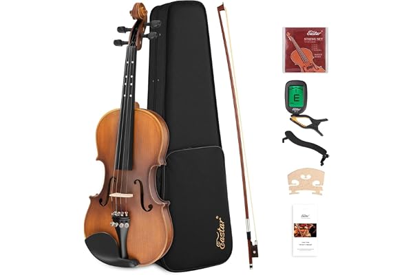 Le violon 4/4 Eastar EVA-3, doté d'une finition mate, convient aux adultes débutants. Il est fourni avec un étui rigide, une épaulière, un archet, des mécaniques et des cordes de rechange.