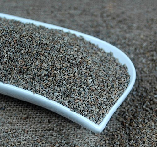 Preisvergleich Produktbild Naturix24 – Petersiliensamen ganz - 250g