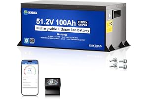 DCHOUSE - LiFePO4-batteri 48 V, 100 Ah, med bildskärm och Bluetooth, lågtemperaturavstängning, robust metallhölje för golfbil, solanläggningar, husbil, gräsklippare