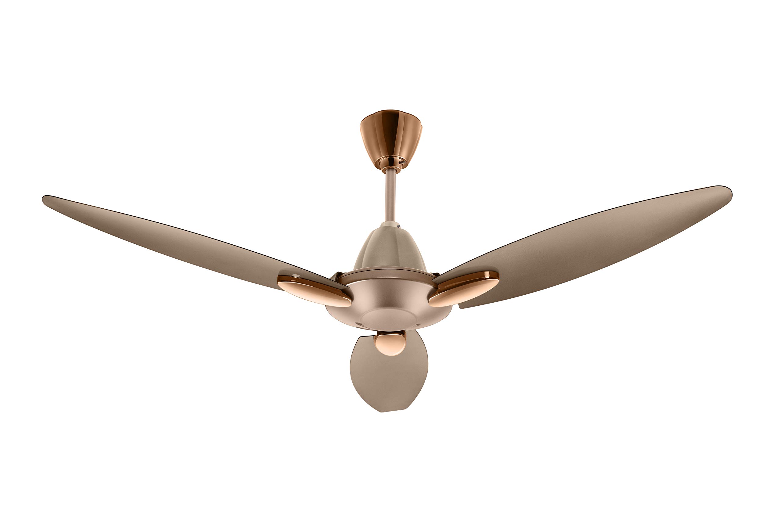 Usha Bloom Daffodil Goodbye Dust Ceiling Fan 1250mm, Sparkle Golden and Brown - Image 3