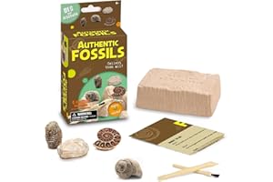 EDUMAN Mini Blind Box Fossil Digging Kit for Kids - Fossils Hunting Kit, Unearth 4 Random Fossils from 16 Types Includes Chisel & Brush, STEM Education Toy Gift for Boys Grils age 6+