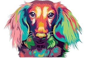 YSCOLOR Diamond Painting Kit Di Pittura Diamante 5D Per Adulti E Bambini Colore Bassotto A Pelo Lungo Punta Completa Diamante Rotondo Art 30x40cm