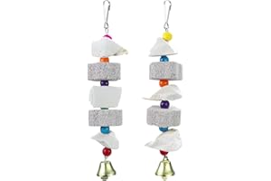 SUPKEYER 2Pcs Bird Beak Trim Cuttlebone Calcium Stone Lava Block Chew Toy Grinding Teeth Natural Minerals with Bell for Parakeet Conure Lovebird Cockatiel Finch Canary Hamster Chinchilla Rabbit