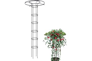 BAOQIFONG Ombrello verticale per piante a traliccio | Graticcio da giardino per piante rampicanti e fiori | Supporto per vasi di fiori fai da te per traliccio rampicante Paletto in filo metallico antiruggine