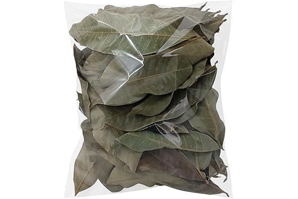 Leaf Litter for Isopods - Natural Dry 50 Pieces Pet Supplies | Turtle Litter Leaf for Frogs Fish Snakes Shrimp Tortoises Lizards Small Home Indoor Outdoor Habitats Water