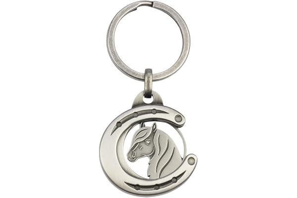 HappyRoss 901040 Support de pièces avec tête de Cheval Unisexe Multicolore