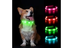 PcEoTllar LED Collier de Chien Lumineux Colliers Imperméables Rechargeables pour Chiens Super Allumer pour Nuit Sécurité Améliorer la Visibilité, Long Temps de Travail - Vert -M