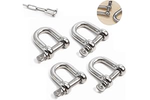 FANSEZQ Manille en forme de D forgée en acier inoxydable, avec filetage, quatre, M8, environ 16 mm