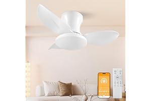 HaoDrisk Ventilatore da Soffitto con Luce, 65CM Ventilatore da Soffitto con Lampada e Telecomando, Silenzioso Lampadario con Ventilatore Dimmerabile 6 Velocità DC Reversibile Fan Lampada per Camera
