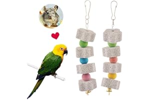 SKINGWA Lot de 2 jouets à mâcher pour oiseaux, bec de perroquet avec clochette, lot de 2 (#4)