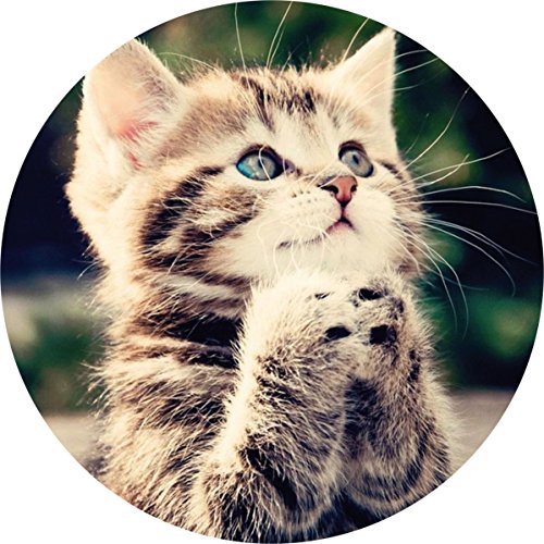 Preisvergleich Produktbild Tortenaufleger Katze2 / 20 cm Ø