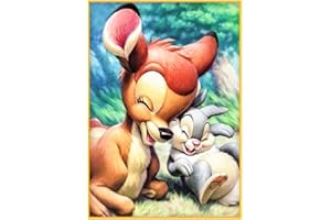 DCIDBEI Kit de Broderie Diamant 5D Broderie au Point de Croix Toile Fauve et Lapin Animaux Diamants kit Complet pour Adultes et Enfants Peinture au Numero Accessoire Diamant Painting Décoration 30 x 40 cm