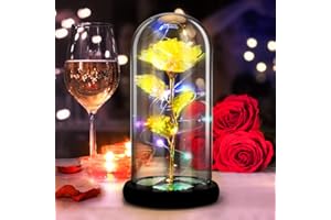 DASIAUTOEM Ewige Rose im Glas, Ewige Rosen Die Schöne und das Biest Rose Seidenrose und LED-Licht auf Holzsockel