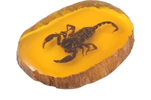 BESPORTBLE 1Pc Bernstein Fossiles Insekt Künstliches Bernsteininsekt Exemplar Anhänger Skorpione Insekten Bernstein Steinsammlung Ovale Verzierung für Freunde Kinder Kinder (Skorpion)