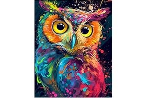 Hongyrjy Funny Owls Paint by Numbers for Adults-Painting Kits for Adults,Owls Paint by Number Canvas,Perfect for Gifts and Home Wall Decor 12x16in