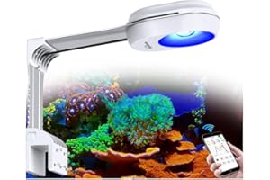 PopBloom RL60 WiFi Rampe LED Aquarium Eau de Mer 60W, APP Programme Marine Éclairage à Spectre Complet pour Aquarium de Corail, L'APP prend en charge le français (60W (RL60 blanc))
