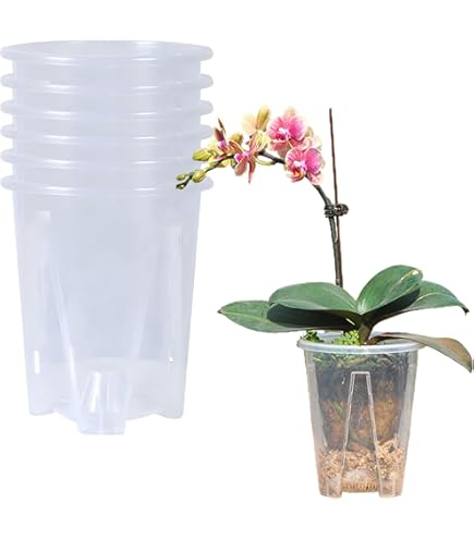 Orchideeënpotten Transparant 3 Stuks Doorzichtige Orchideeënpotten – Met Ventilatiegaten | PP Materiaal | 10, 12 & 15 Cm Doorsnee Doorzichtige Orchidee Potten