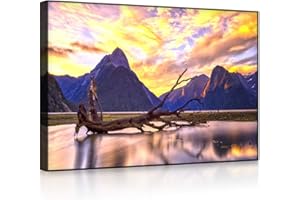 lightbox multicolor | Leuchtbilder | Entwurzelter Baum in wunderschöner Berglandschaft | 100x70 cm | Front Lighted