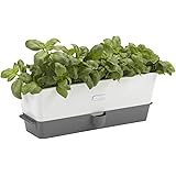 Cole & Mason 3-fach Kräutertopf mit Selbstbewässerung, White, Triple